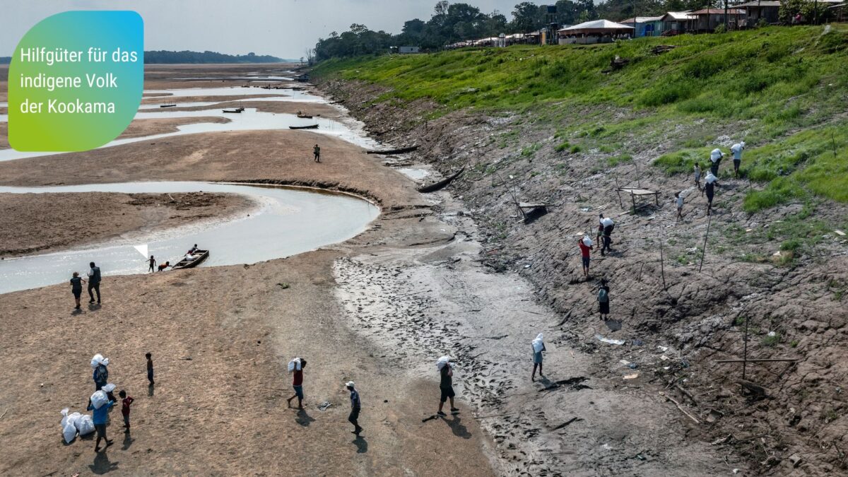 picture_brazil_2_de © Marizilda Cruppe/Greenpeace